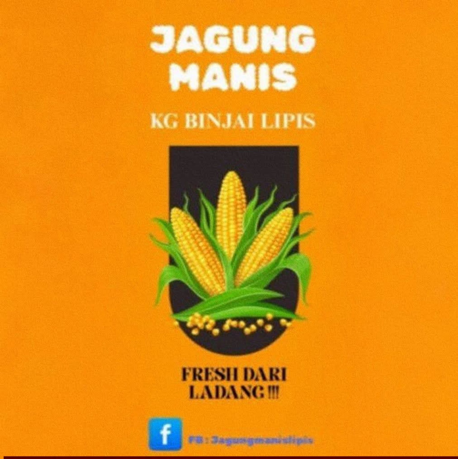 Logo Jagung Manis Binjai